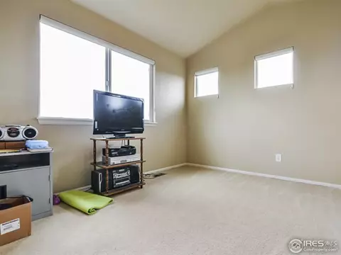 6947 E 131st Pl, Thornton, CO 80602 photo 22