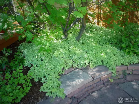 3975 Dehesa Ct, Boulder, CO 80301 photo 26