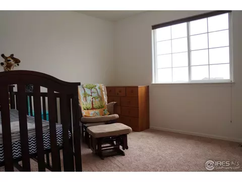 701 Rivendell Ct, Pierce, CO 80650 photo 16