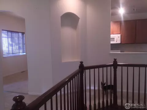 4780 Silverleaf Ave, Firestone, CO 80504 photo 10