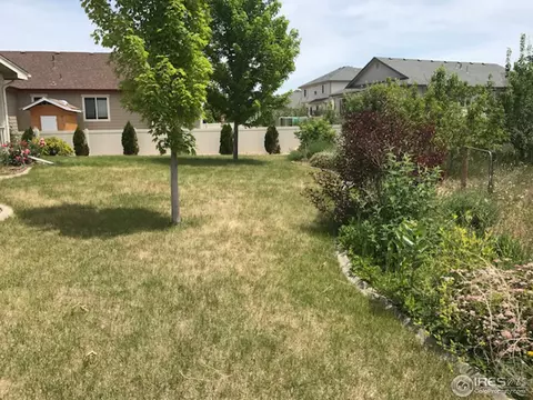 4780 Silverleaf Ave, Firestone, CO 80504 photo 36