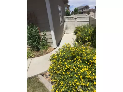4780 Silverleaf Ave, Firestone, CO 80504 photo 35