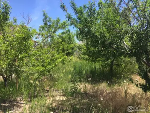 4780 Silverleaf Ave, Firestone, CO 80504 photo 38