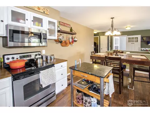 30 Rose St, Windsor, CO 80550 photo 13