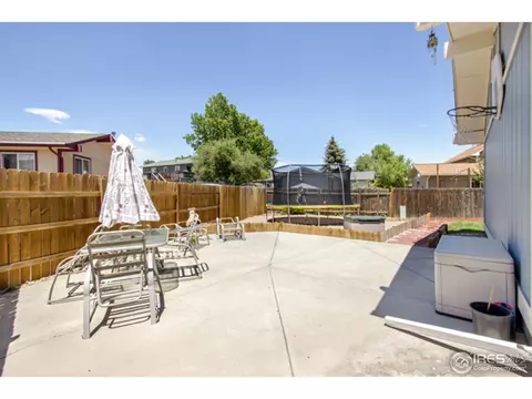 30 Rose St, Windsor, CO 80550 photo 24