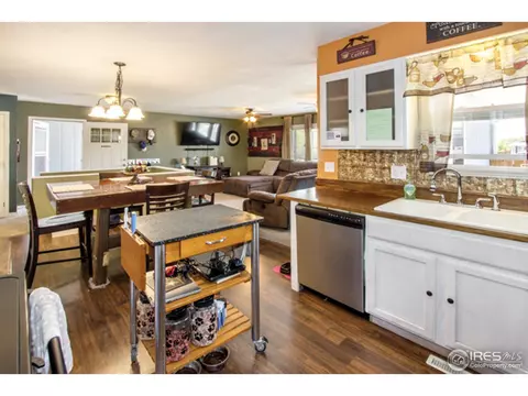 30 Rose St, Windsor, CO 80550 photo 12
