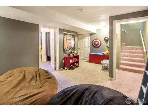 30 Rose St, Windsor, CO 80550 photo 21