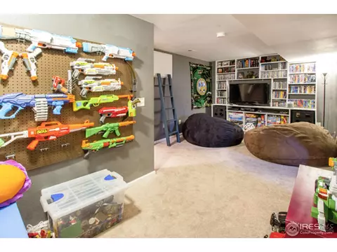 30 Rose St, Windsor, CO 80550 photo 22