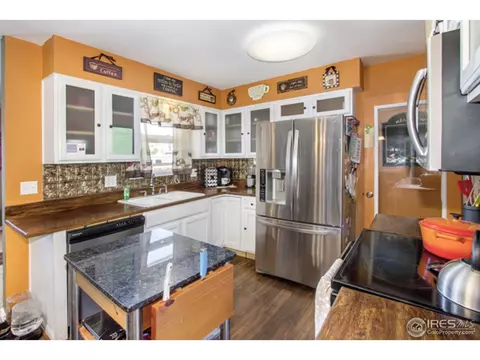 30 Rose St, Windsor, CO 80550 photo 10