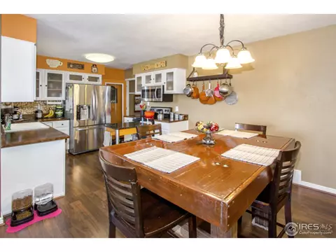 30 Rose St, Windsor, CO 80550 photo 9