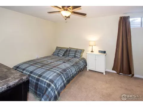 30 Rose St, Windsor, CO 80550 photo 17
