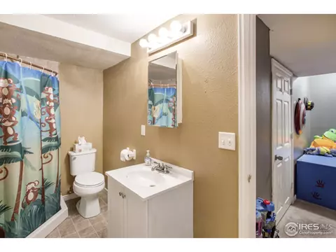 30 Rose St, Windsor, CO 80550 photo 19