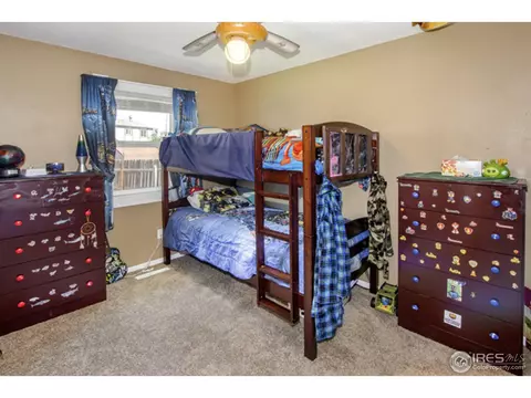 30 Rose St, Windsor, CO 80550 photo 18