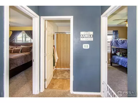30 Rose St, Windsor, CO 80550 photo 14