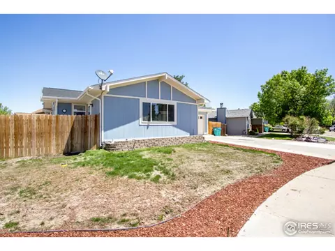 30 Rose St, Windsor, CO 80550 photo 26