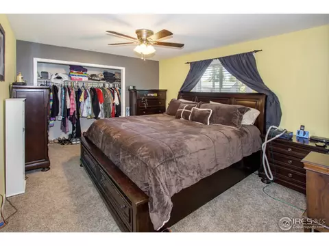 30 Rose St, Windsor, CO 80550 photo 15