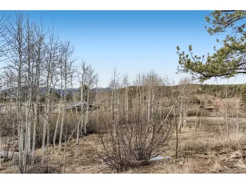 133 Twilight Terrace Dr, Bailey, CO 80421 photo 24