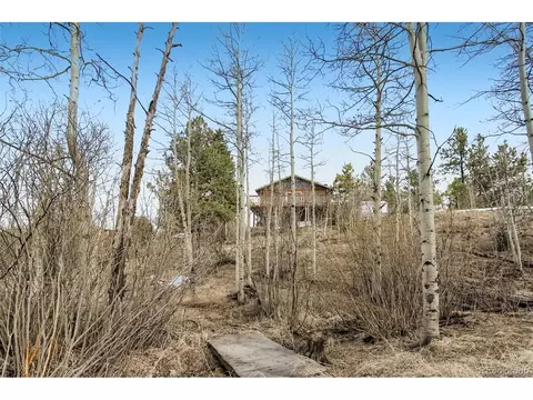 133 Twilight Terrace Dr, Bailey, CO 80421 photo 25