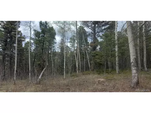 6090 Vreeland Rd, San Luis, CO 81152