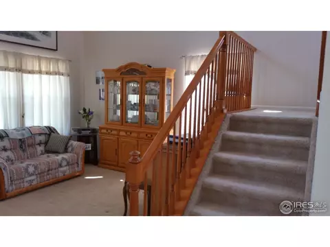 12669 Jersey Cir, Thornton, CO 80602 photo 8