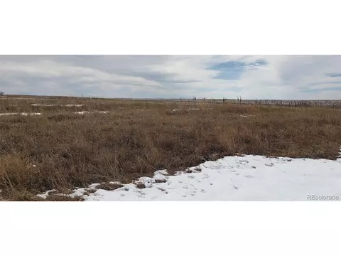 12920 Creek Side Cir, Bennett, CO 80102 photo 10