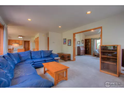 540 Mayo Ct, Berthoud, CO 80513 photo 10