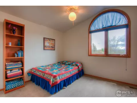 540 Mayo Ct, Berthoud, CO 80513 photo 22