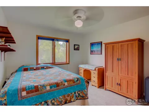 540 Mayo Ct, Berthoud, CO 80513 photo 23