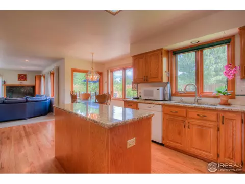 540 Mayo Ct, Berthoud, CO 80513 photo 15