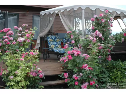 540 Mayo Ct, Berthoud, CO 80513 photo 32