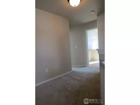 2118 Grain Bin Dr, Windsor, CO 80550 photo 14