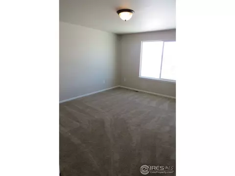 2118 Grain Bin Dr, Windsor, CO 80550 photo 17