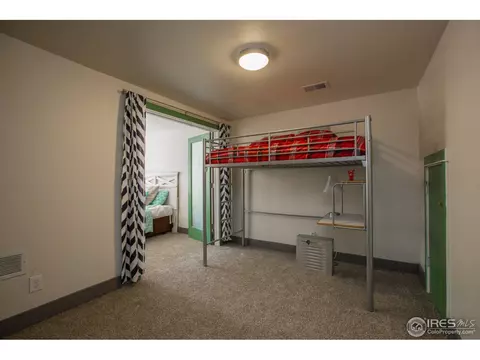 235 Topaz Ct, Windsor, CO 80550 photo 30