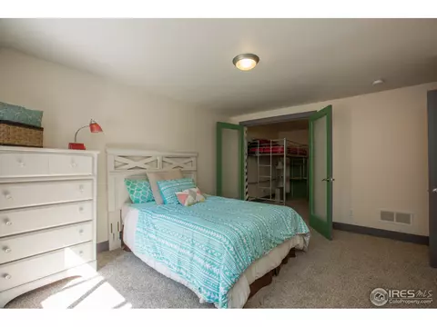 235 Topaz Ct, Windsor, CO 80550 photo 29
