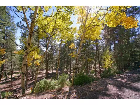 30402 Kings Vly, Conifer, CO 80433 photo 2