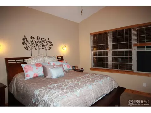 1993 Vineyard Dr, Windsor, CO 80550 photo 23