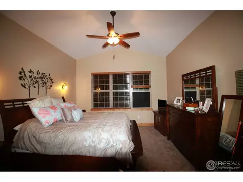 1993 Vineyard Dr, Windsor, CO 80550 photo 22