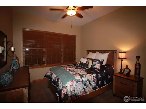 1993 Vineyard Dr, Windsor, CO 80550 photo 27