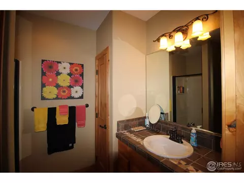 1993 Vineyard Dr, Windsor, CO 80550 photo 33