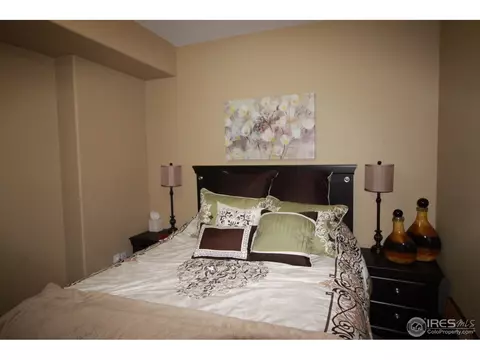 1993 Vineyard Dr, Windsor, CO 80550 photo 34