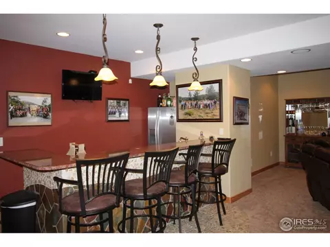 1993 Vineyard Dr, Windsor, CO 80550 photo 28