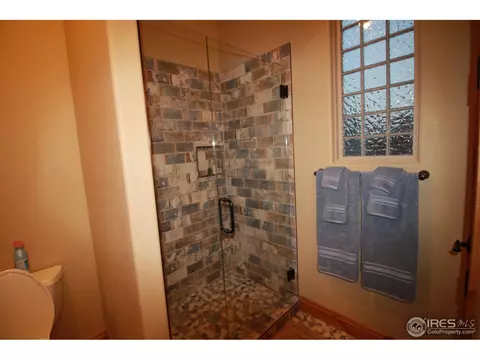 1993 Vineyard Dr, Windsor, CO 80550 photo 25