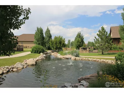 1993 Vineyard Dr, Windsor, CO 80550 photo 38