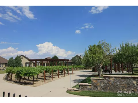 1993 Vineyard Dr, Windsor, CO 80550 photo 37