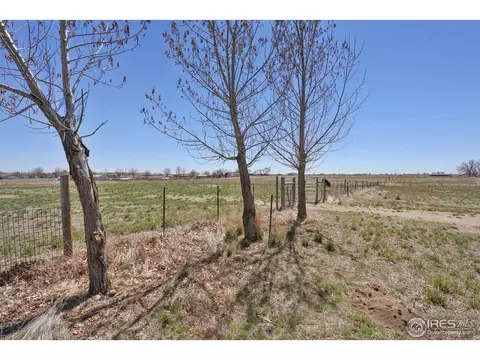 9232 Apache Rd, Longmont, CO 80504 photo 29