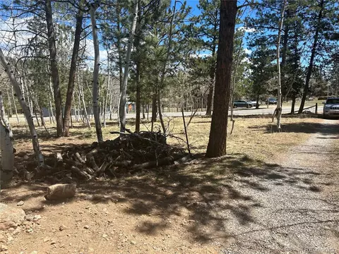 305 Burland Dr, Bailey, CO 80421 photo 11