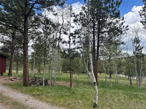 305 Burland Dr, Bailey, CO 80421 photo 3