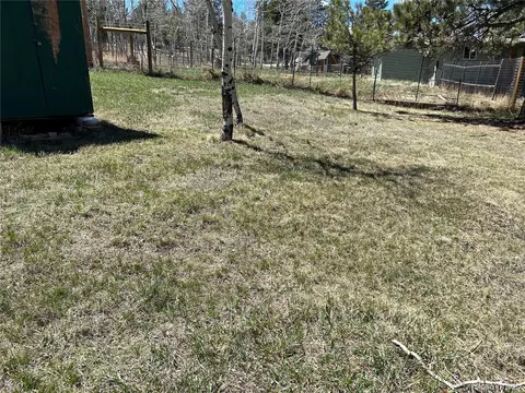 305 Burland Dr, Bailey, CO 80421 photo 18