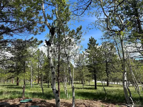 305 Burland Dr, Bailey, CO 80421 photo 19