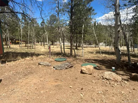 305 Burland Dr, Bailey, CO 80421 photo 9